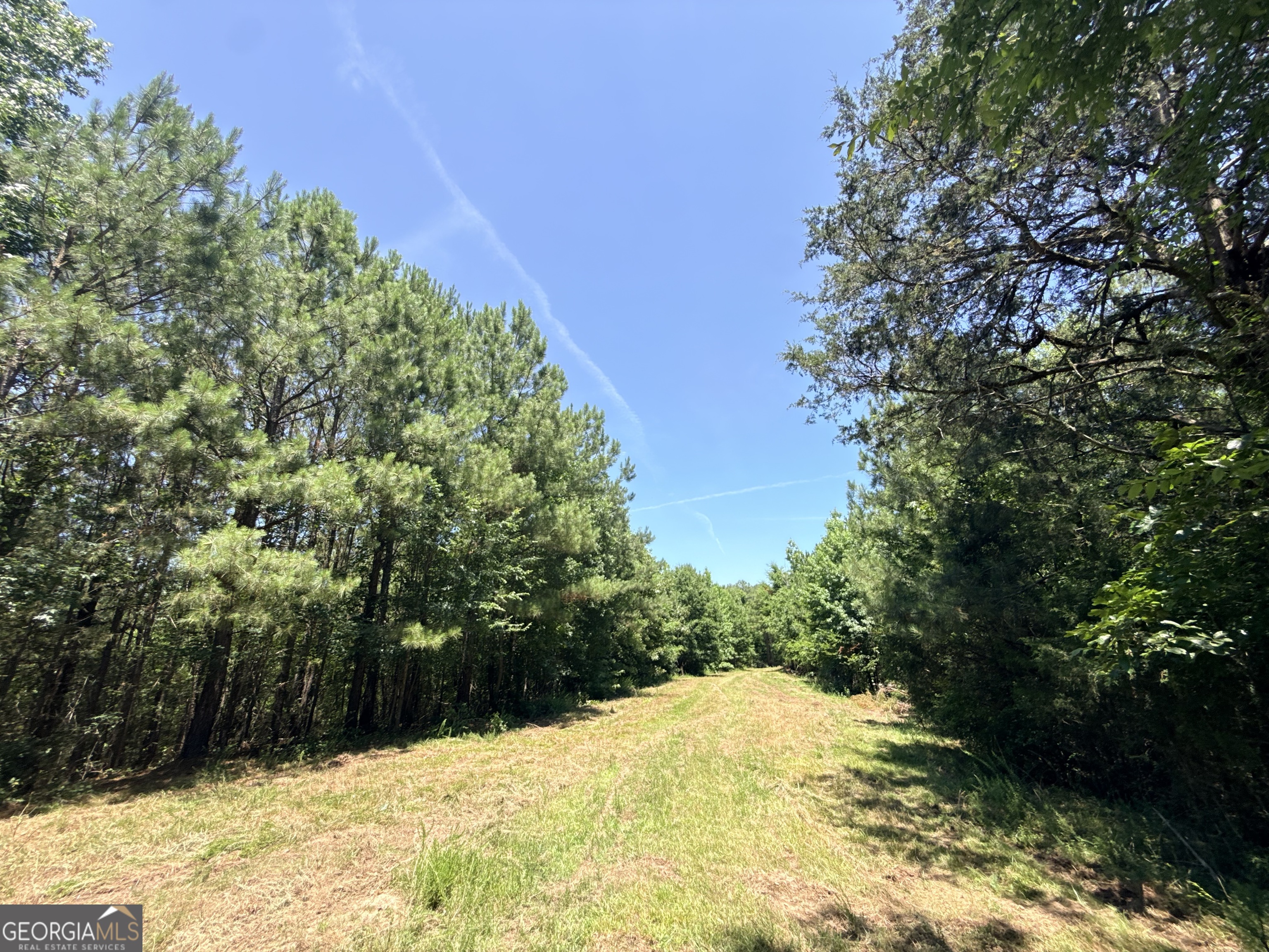 2807 Cedar Creek Road Elberton, GA 30635 - Photo 60 of 109