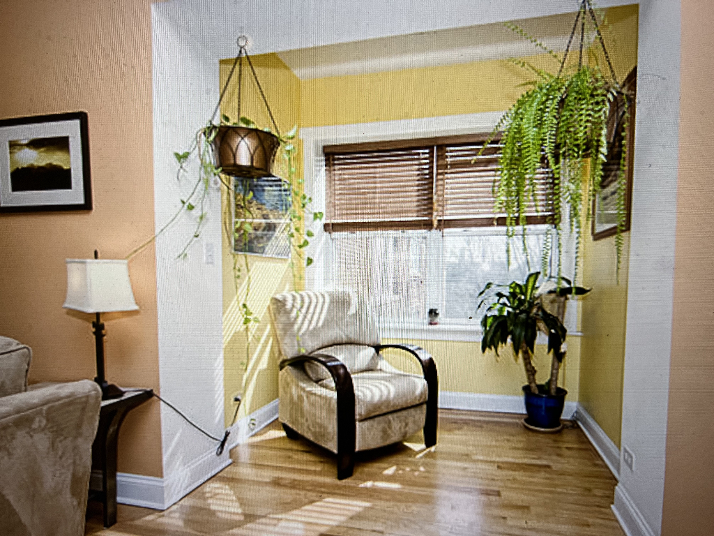 4446 North Beacon Street, Unit 3 Chicago, IL 60640 - Photo 4 of 13 a living room with furniture and a potted plant
