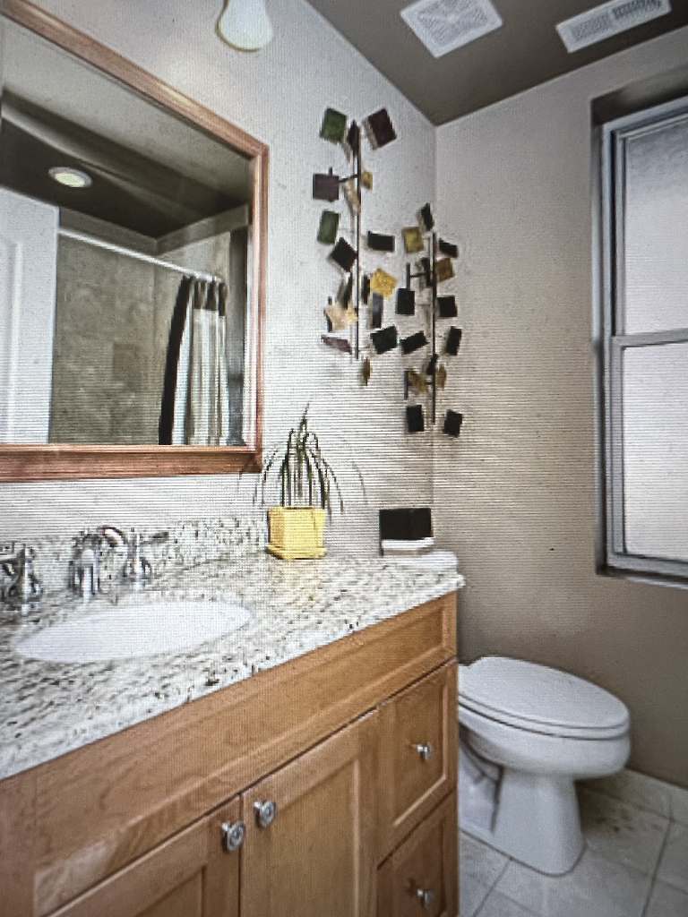 4446 North Beacon Street, Unit 3 Chicago, IL 60640 - Photo 10 of 13 a bathroom with a granite countertop toilet sink and mirror