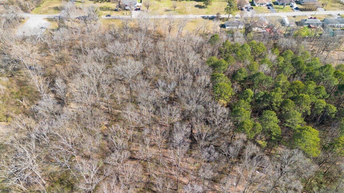 0 Springvale Road East Ridge, TN 37412 - Photo 11 of 22 Gallery Image 11