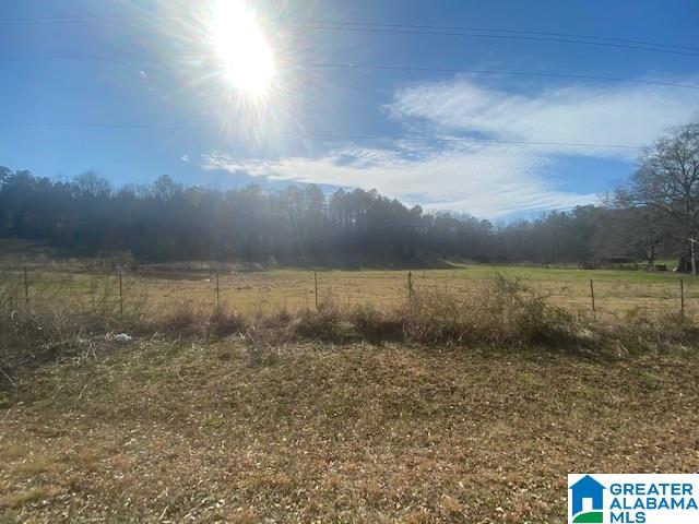 3154 Taylors Mill Road Talladega, AL 35160 - Photo 42 of 46