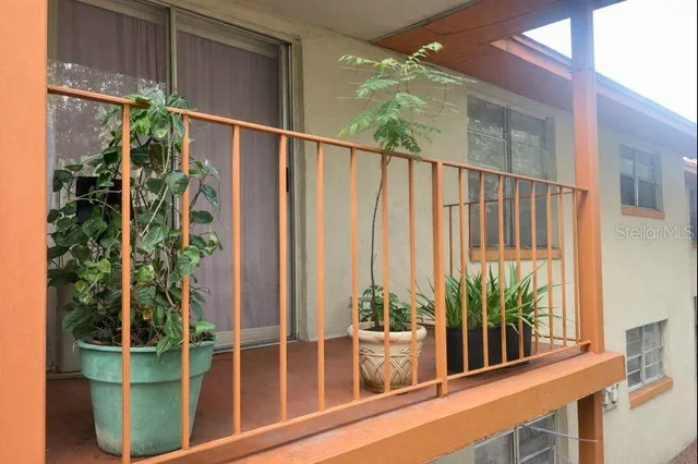 a view of a potted plants with sky view