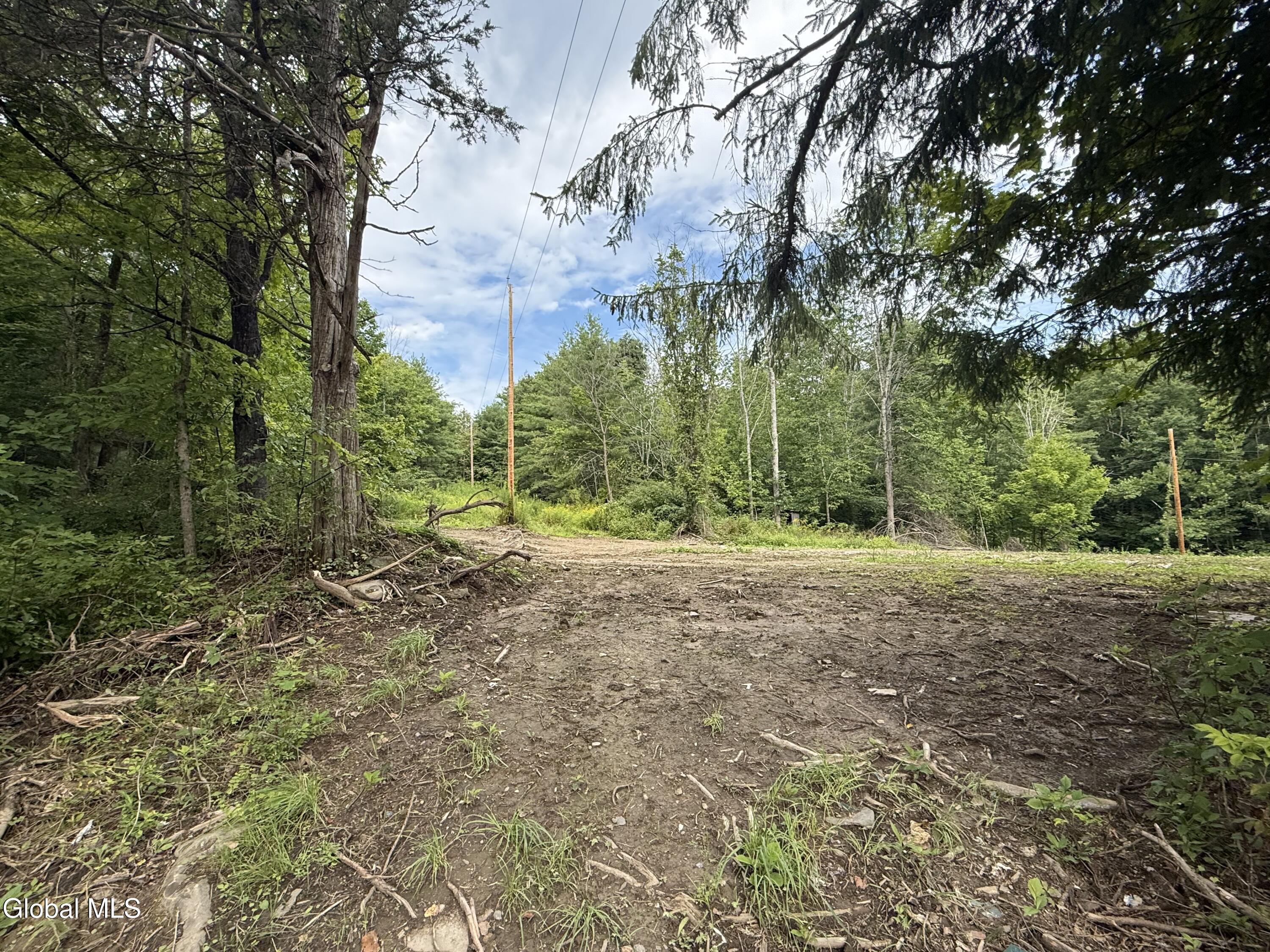 1536 N Road Blenheim, NY 12131 - Photo 2 of 13 IMG_8680
