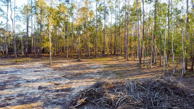 $220,000 | 0 State Road 33, Clermont, FL 34714