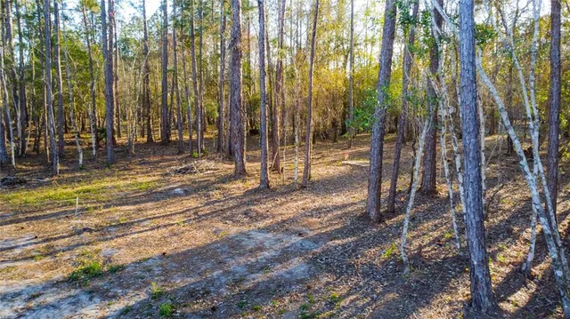 $220,000 | 0 State Road 33, Clermont, FL 34714