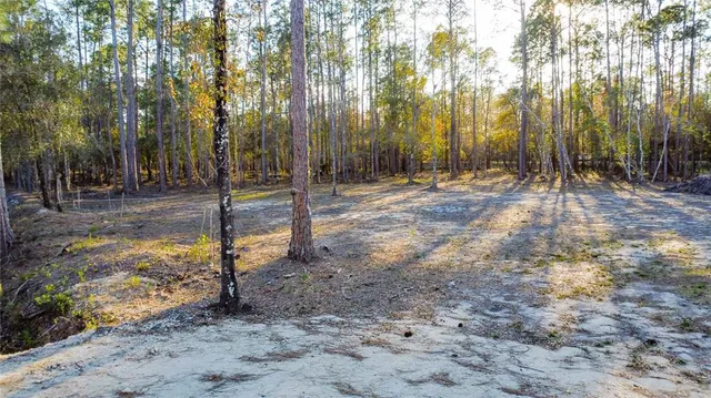 $220,000 | 0 State Road 33, Clermont, FL 34714