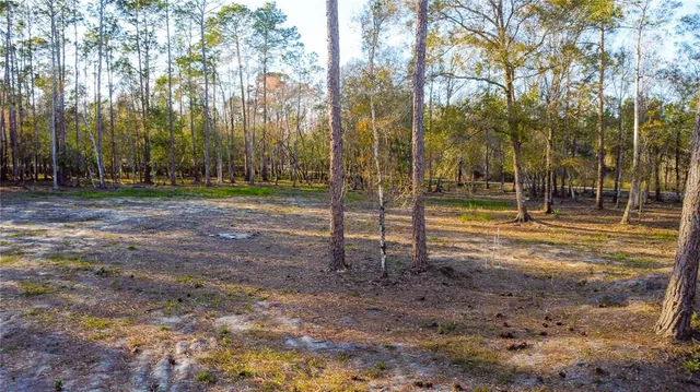 $220,000 | 0 State Road 33, Clermont, FL 34714