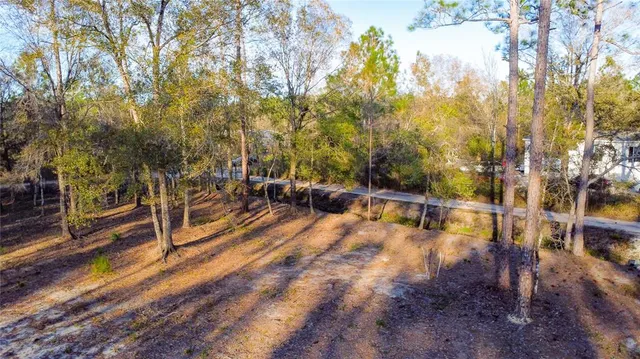 $220,000 | 0 State Road 33, Clermont, FL 34714