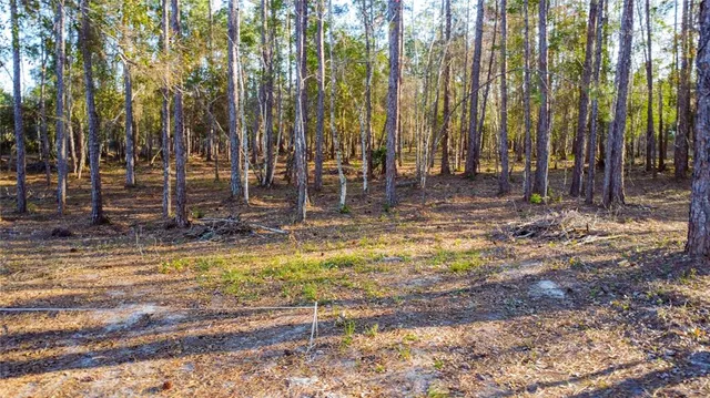 $220,000 | 0 State Road 33, Clermont, FL 34714