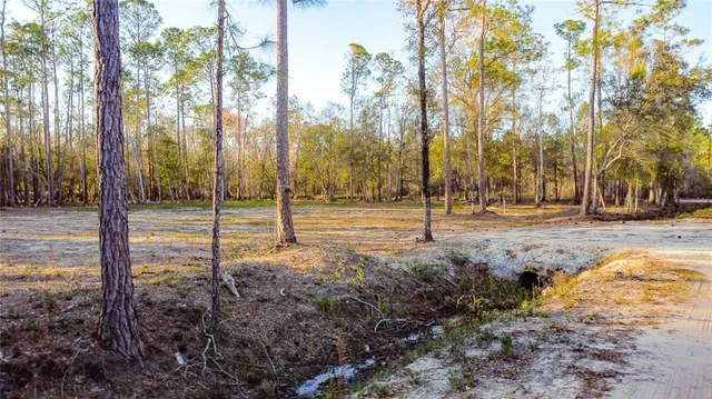 $220,000 | 0 State Road 33, Clermont, FL 34714