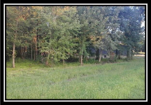 11148 Palmer Road Pataskala, OH 43062 - Photo 5 of 19 Gallery Image 5