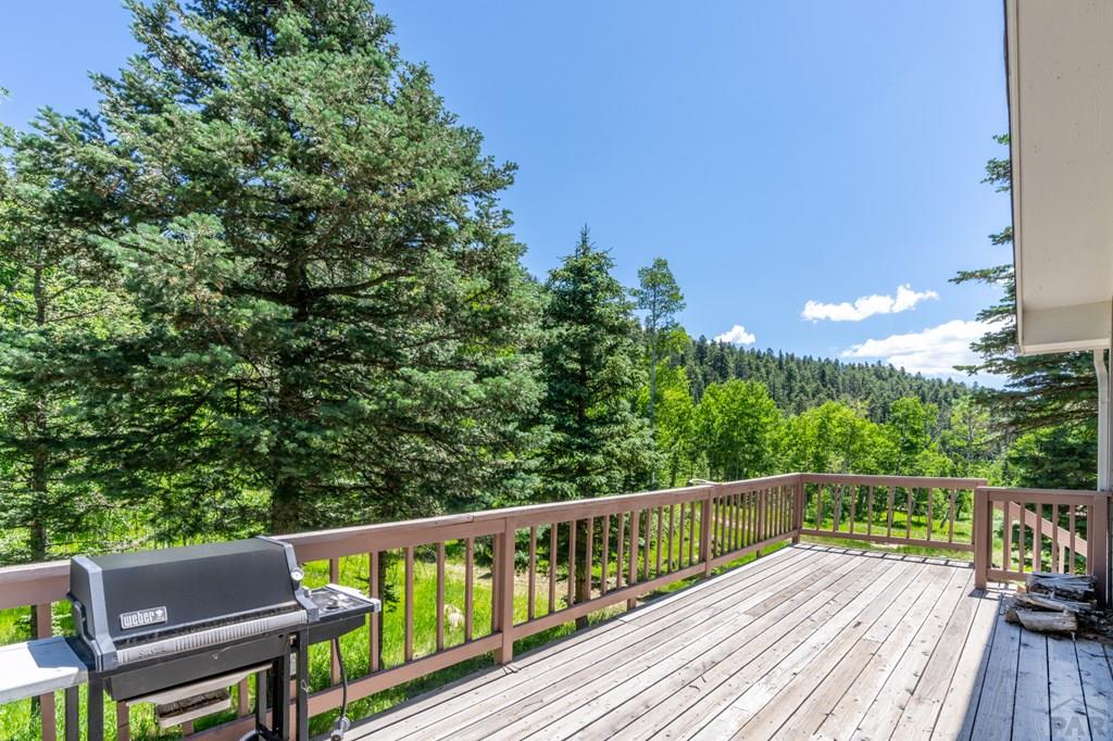 519 Westcliffe Drive Rye, CO 81069 - Photo 7 of 34
