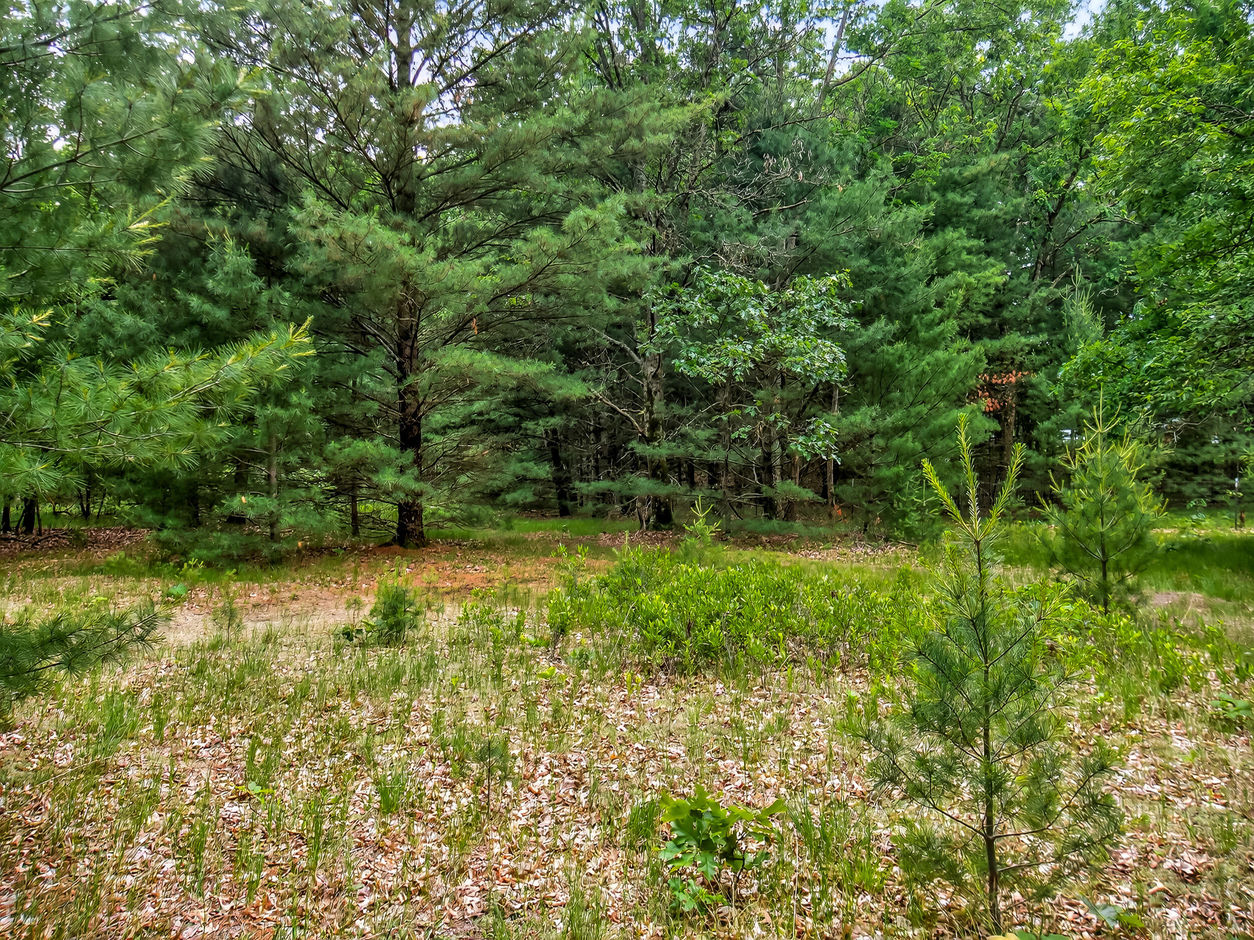 Vl Dalson Road Twin Lake, MI 49457 - Photo 14 of 27 duff_dalson_lot-14