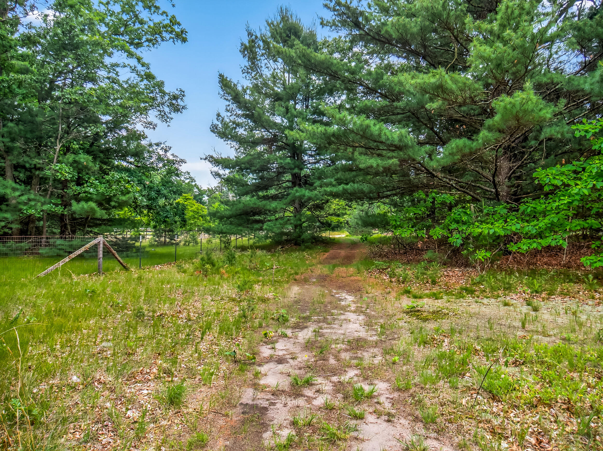 Vl Dalson Road Twin Lake, MI 49457 - Photo 15 of 27 duff_dalson_lot-15