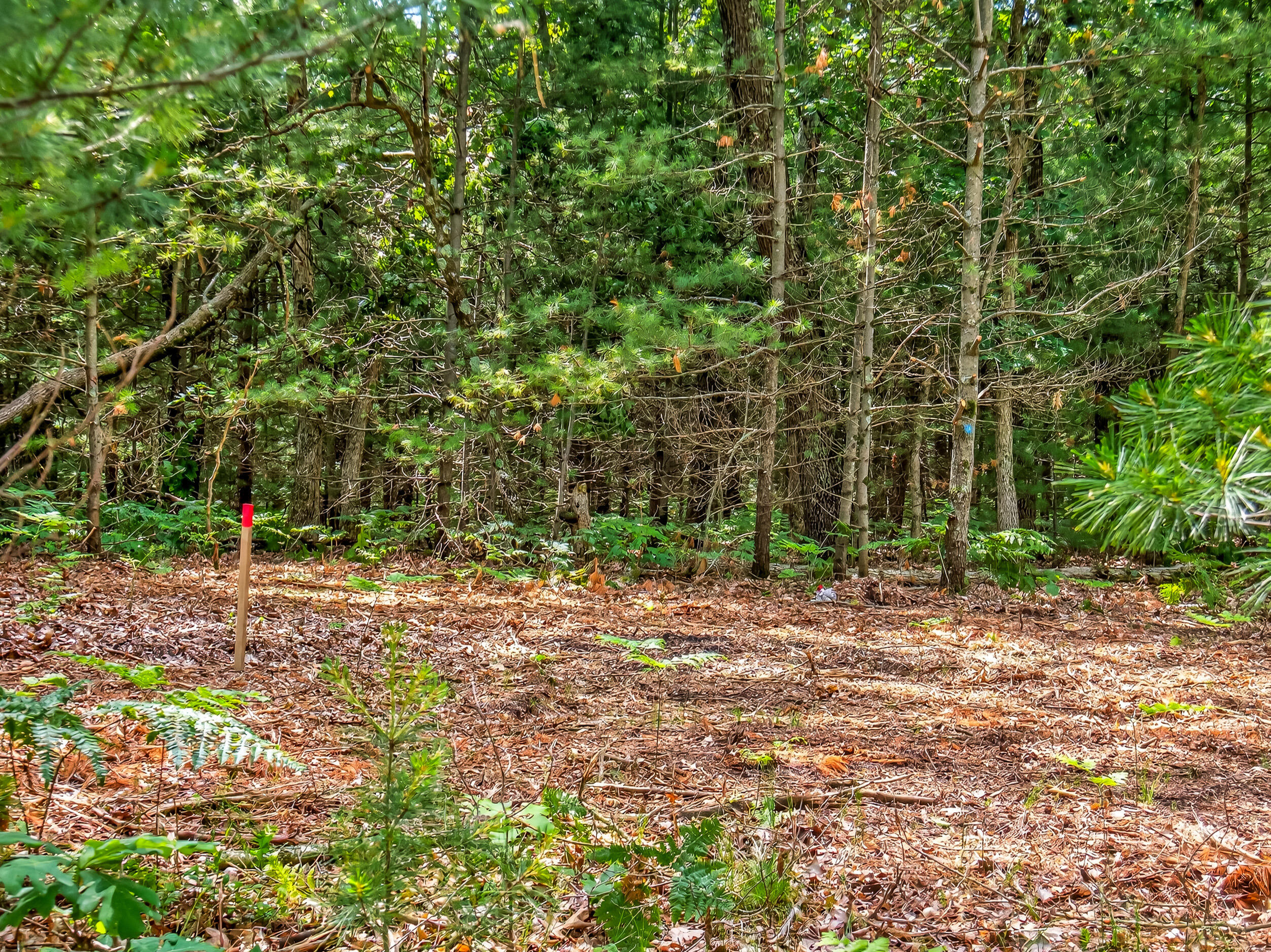 Vl Dalson Road Twin Lake, MI 49457 - Photo 16 of 27 duff_dalson_lot-16