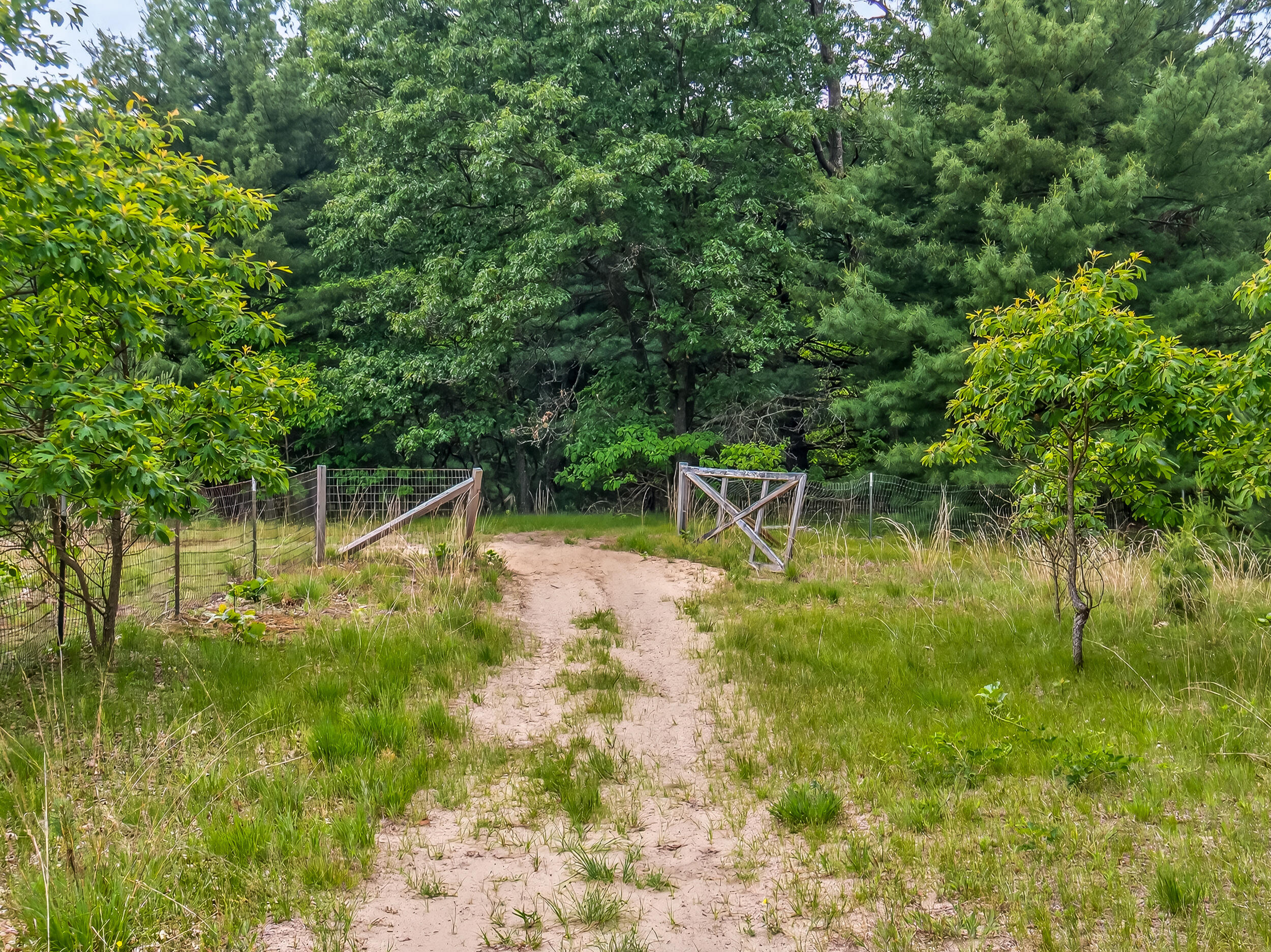 Vl Dalson Road Twin Lake, MI 49457 - Photo 19 of 27 duff_dalson_lot-4