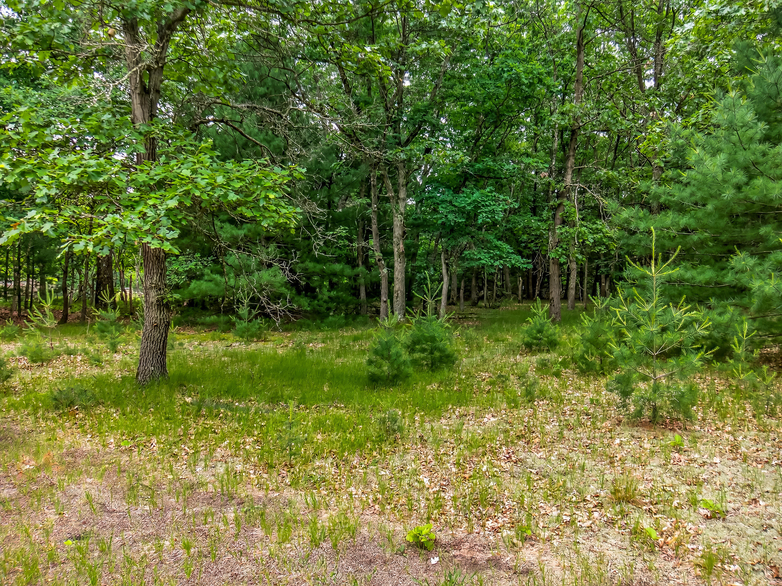Vl Dalson Road Twin Lake, MI 49457 - Photo 22 of 27 duff_dalson_lot-7