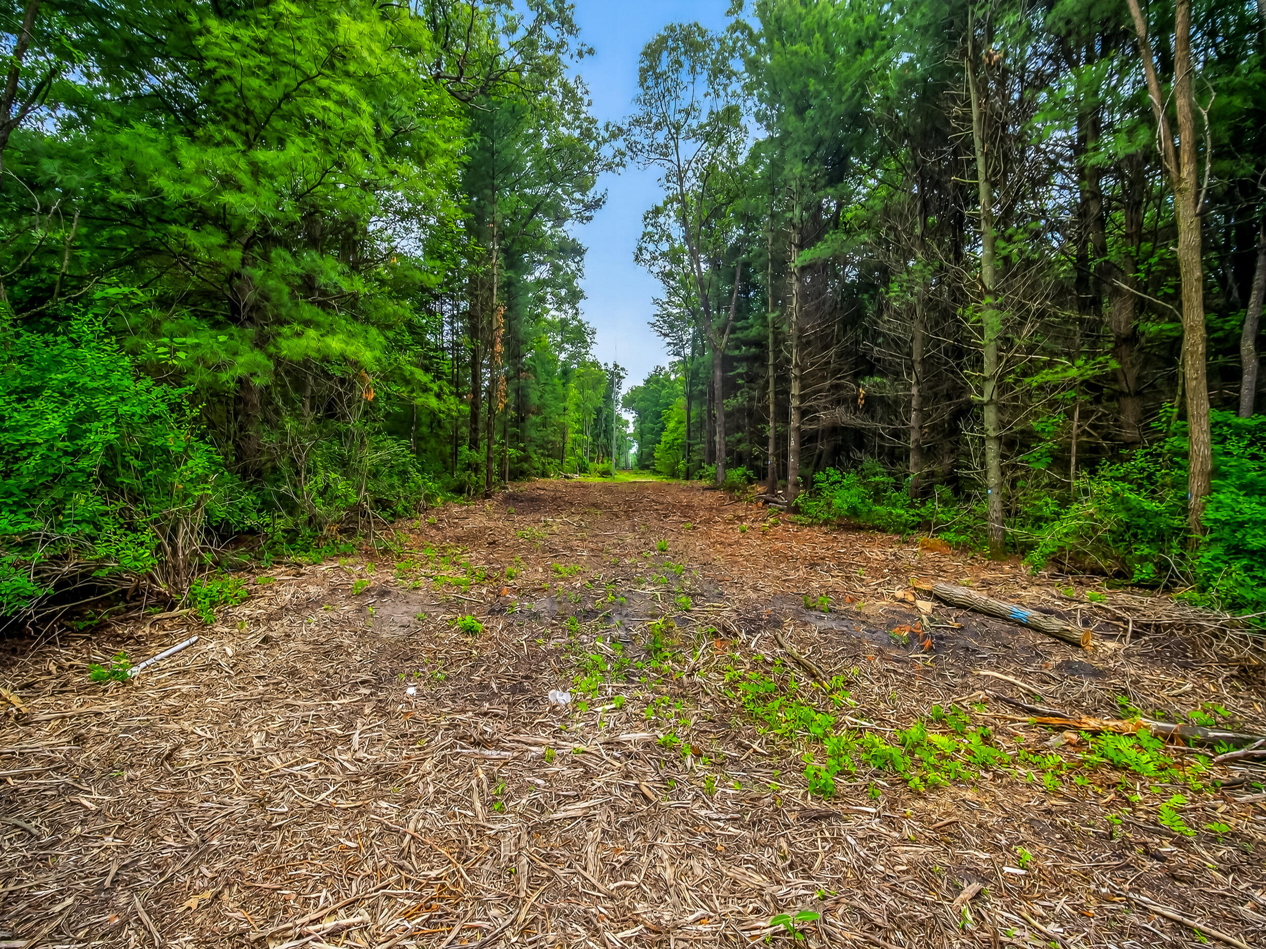 Vl Dalson Road Twin Lake, MI 49457 - Photo 25 of 27 duff_dalson_lot-10