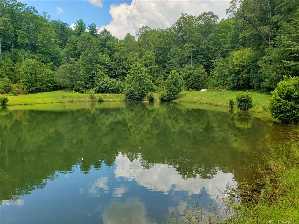 7440 Summit Road Purlear, NC 28665 - Photo 22 of 22 Gallery Image 22