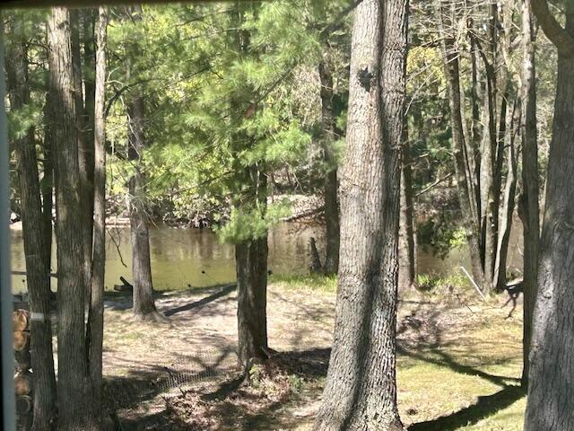 10158 South River Road Evart, MI 49631 - Photo 43 of 50 IMG_4465