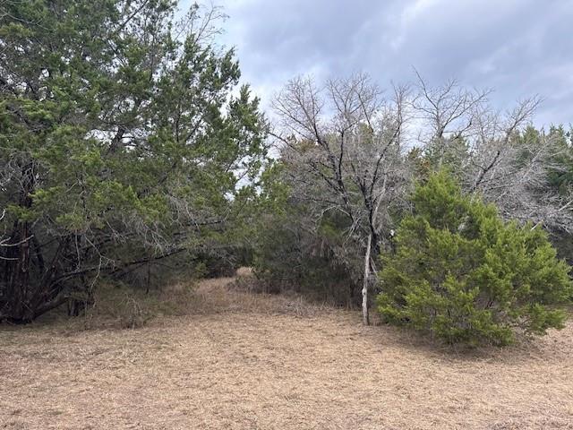 1377 Spring Valley Trail Whitney, TX 76692 - Photo 2 of 34 a view of a forest with trees in the background