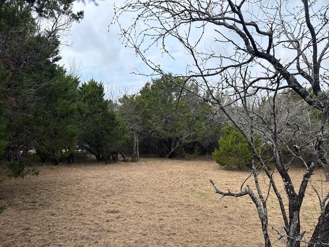1377 Spring Valley Trail Whitney, TX 76692 - Photo 3 of 34 a view of wooden fence and trees