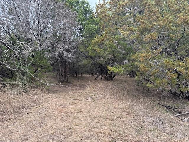 1377 Spring Valley Trail Whitney, TX 76692 - Photo 4 of 34 a view of a forest with trees in the background