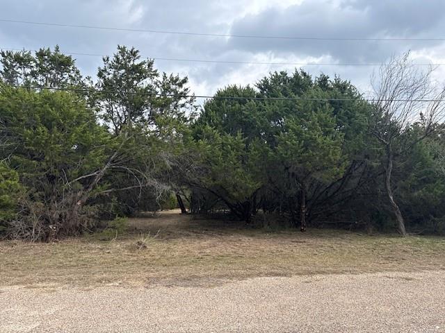 1377 Spring Valley Trail Whitney, TX 76692 - Photo 5 of 34 a view of a backyard