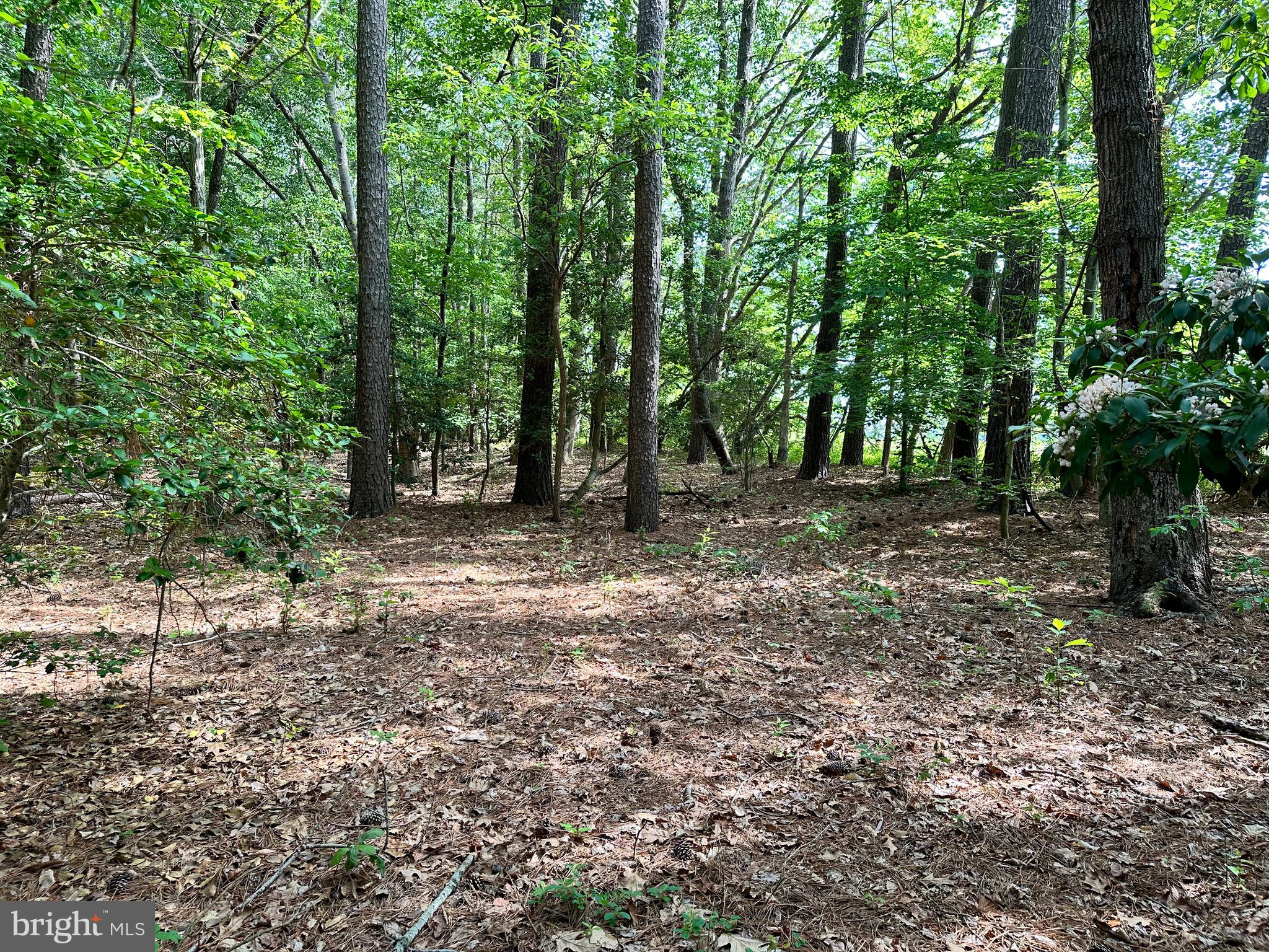 Back Landing Road Preston, MD 21655 - Photo 15 of 35 Gallery Image 15