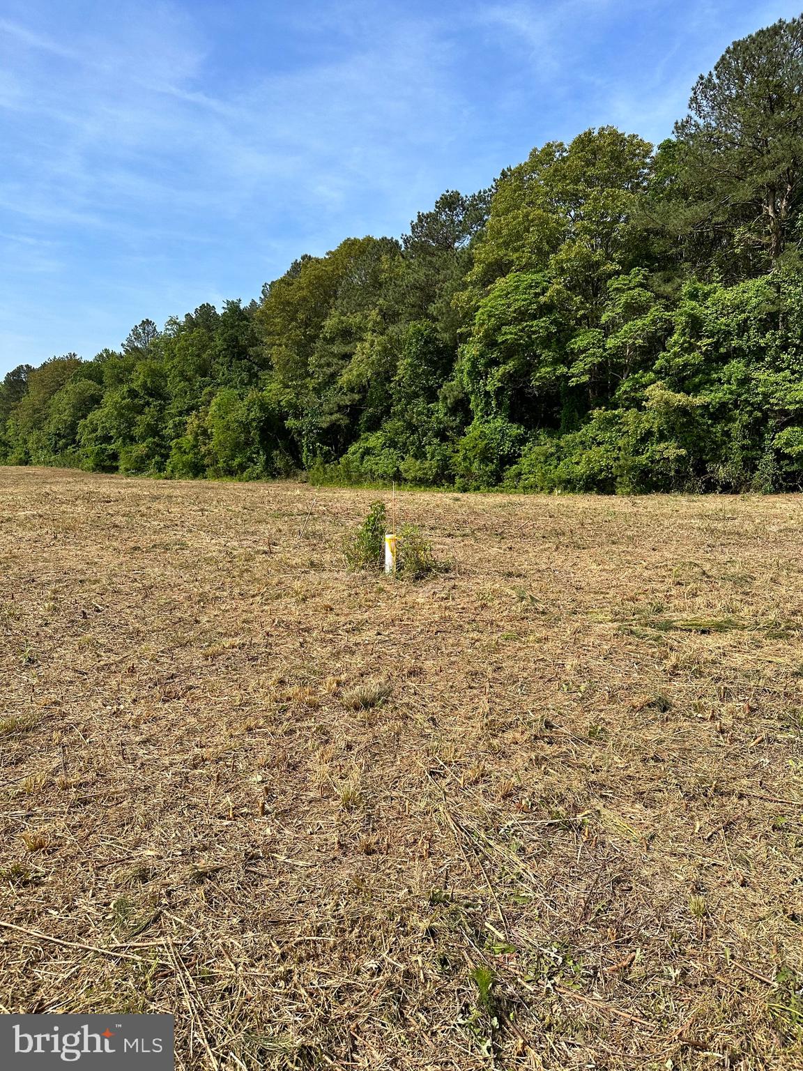 Back Landing Road Preston, MD 21655 - Photo 2 of 35 Two SRA recorded areas in which to build.