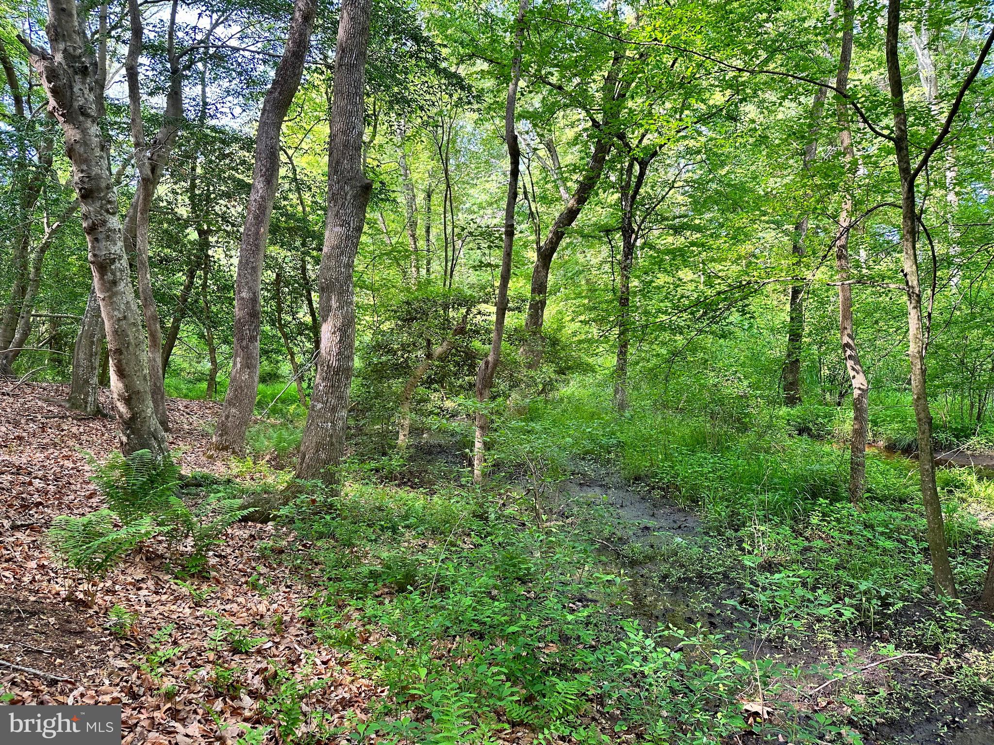 Back Landing Road Preston, MD 21655 - Photo 25 of 35 Gallery Image 25
