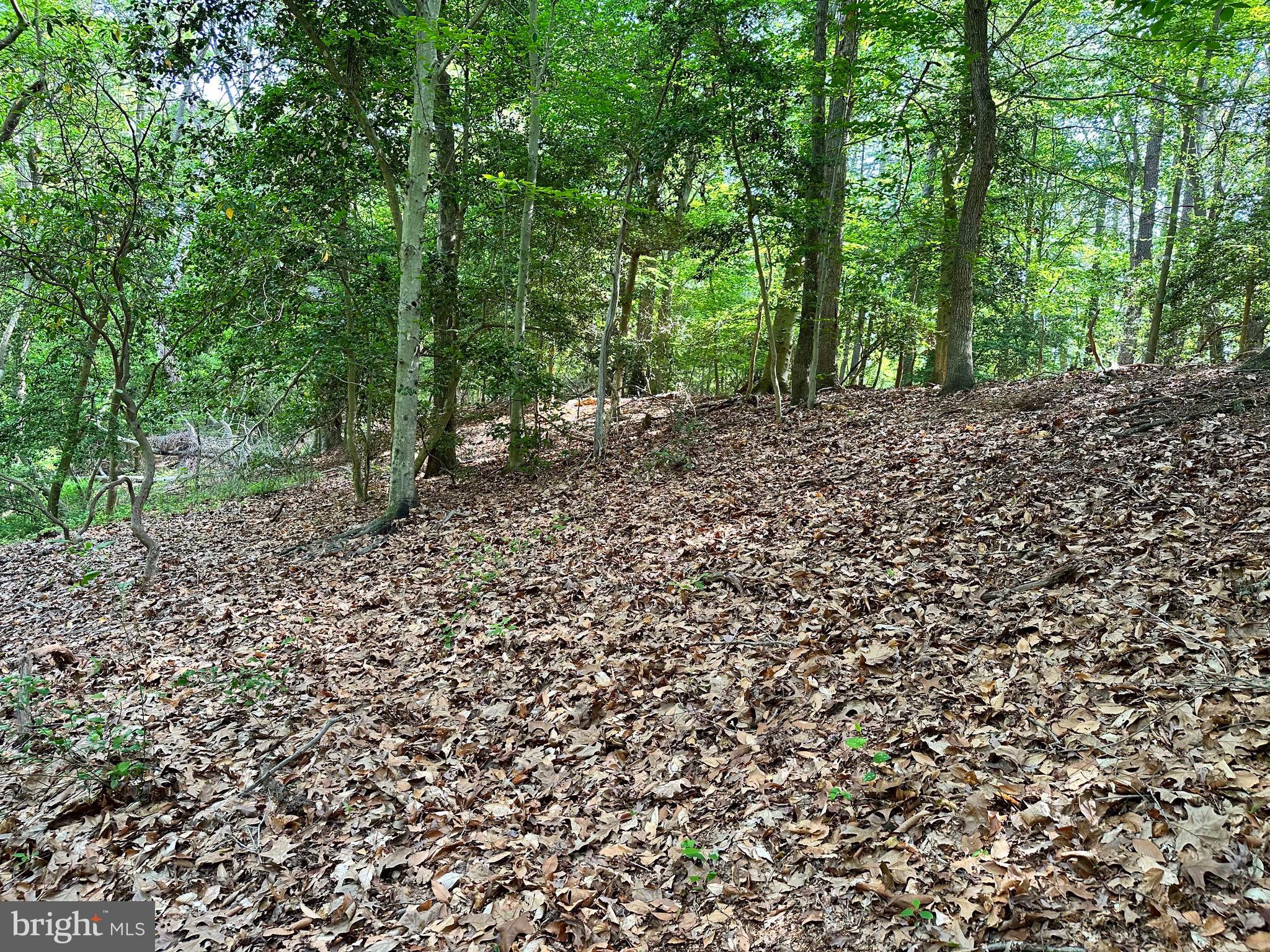 Back Landing Road Preston, MD 21655 - Photo 28 of 35 Gallery Image 28