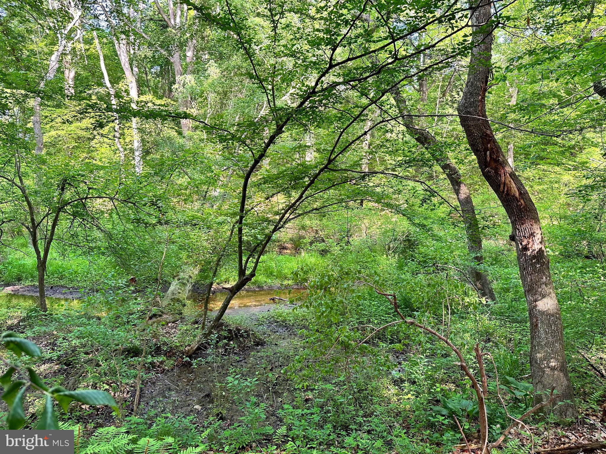 Back Landing Road Preston, MD 21655 - Photo 29 of 35 Gallery Image 29