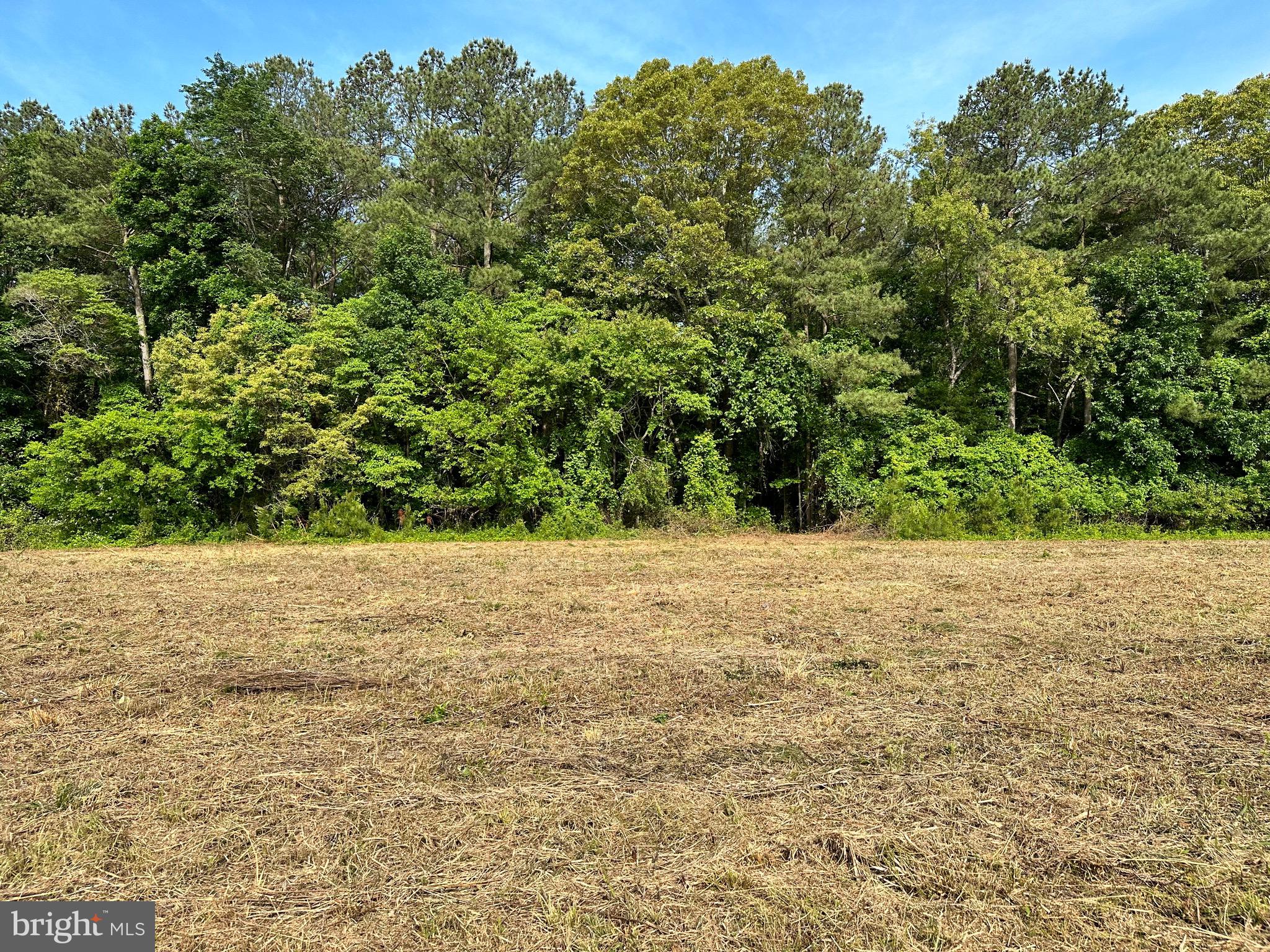 Back Landing Road Preston, MD 21655 - Photo 33 of 35 Gallery Image 33
