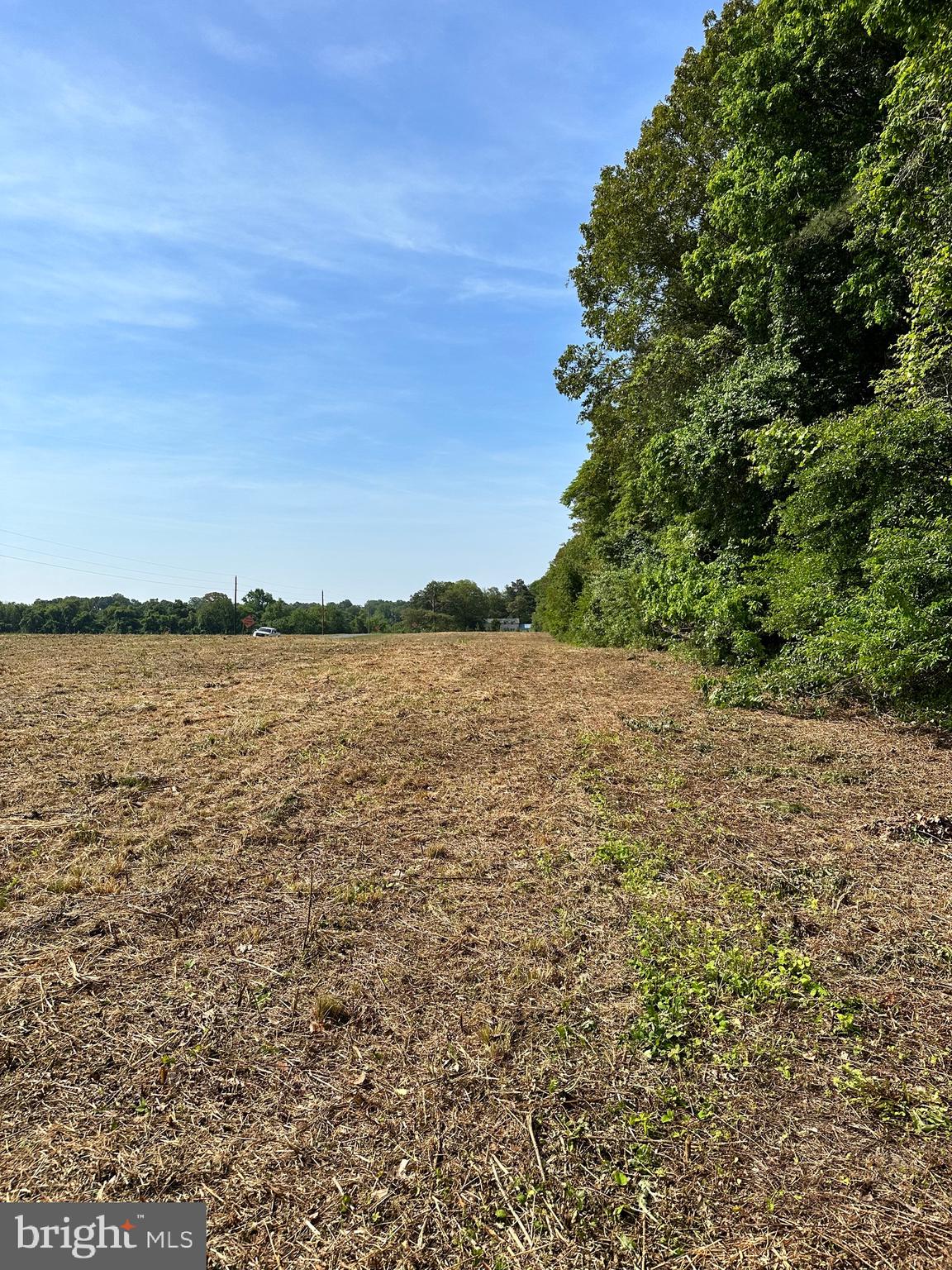 Back Landing Road Preston, MD 21655 - Photo 7 of 35 Gallery Image 7