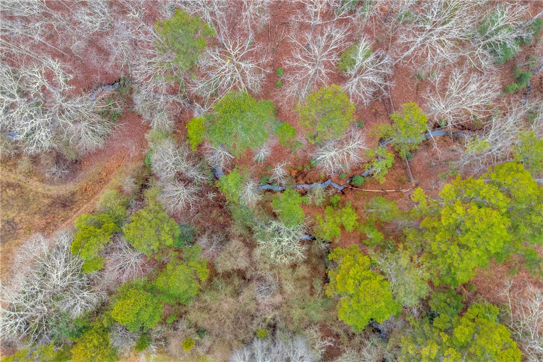 665 Oconee Creek Road Walhalla, SC 29691 - Photo 13 of 49 Gallery Image 13