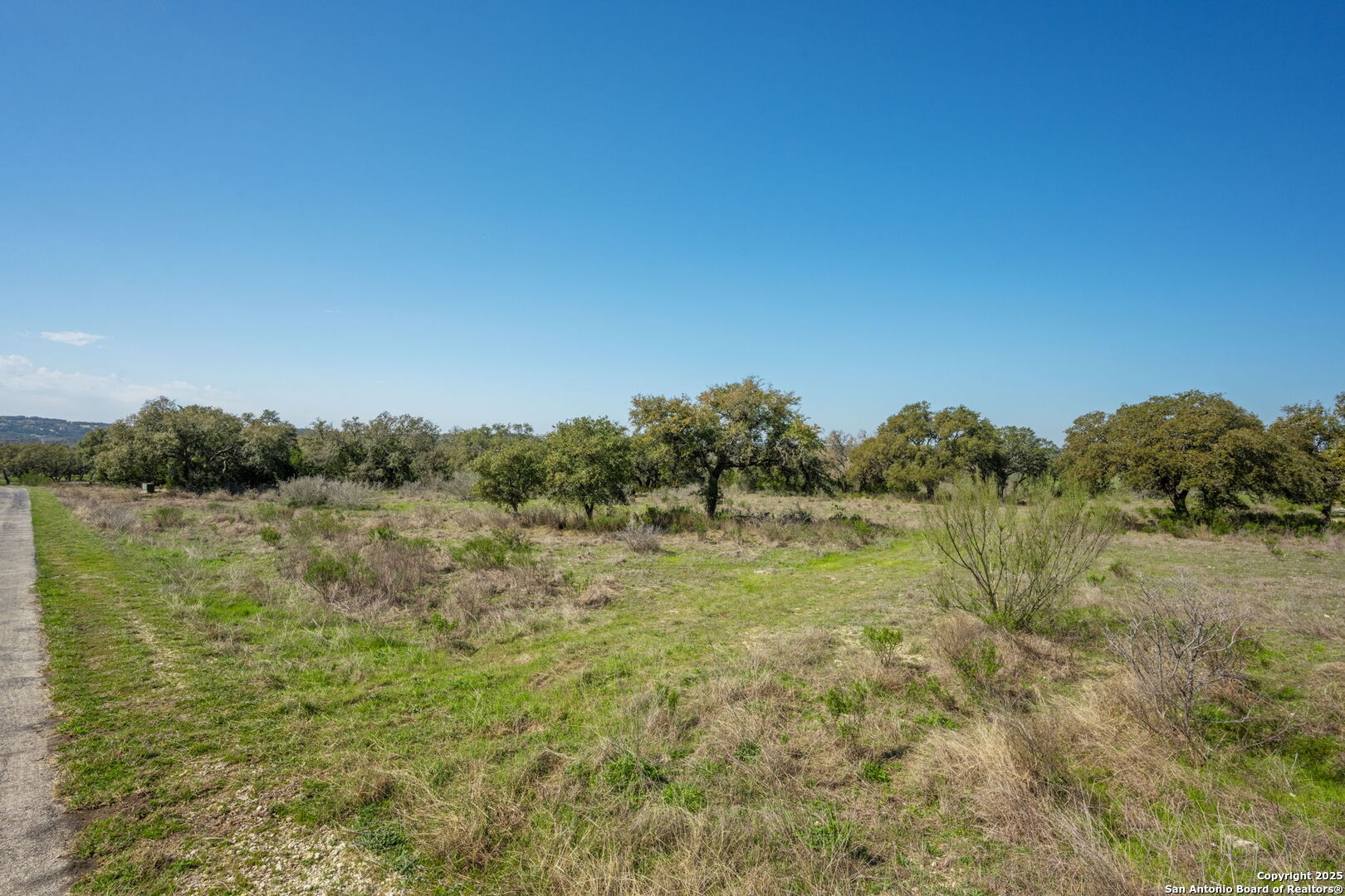 365 River Cliff Place Spring Branch, TX 78070 - Photo 13 of 48 a view of lake with green space