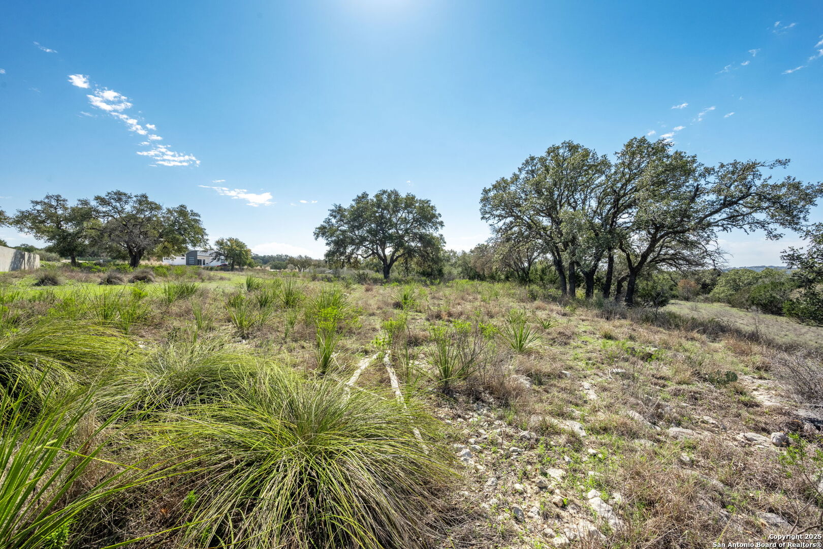 365 River Cliff Place Spring Branch, TX 78070 - Photo 16 of 48 a view of a garden