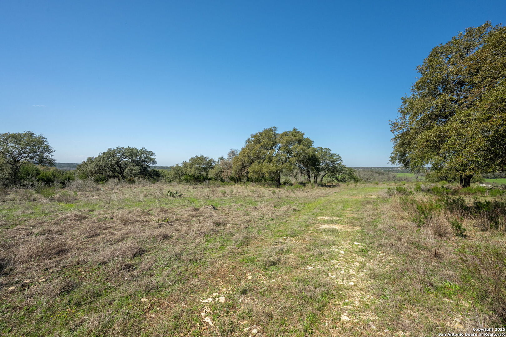 365 River Cliff Place Spring Branch, TX 78070 - Photo 22 of 48 a big yard with lots of green space