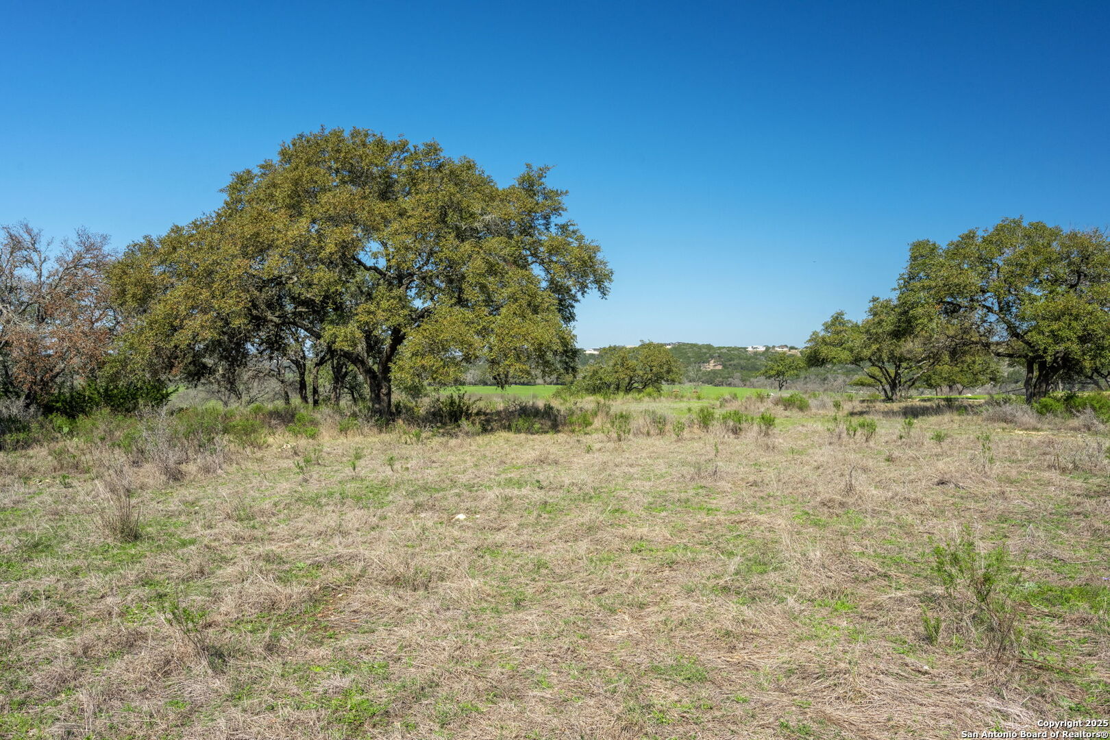 365 River Cliff Place Spring Branch, TX 78070 - Photo 26 of 48 a view of lake