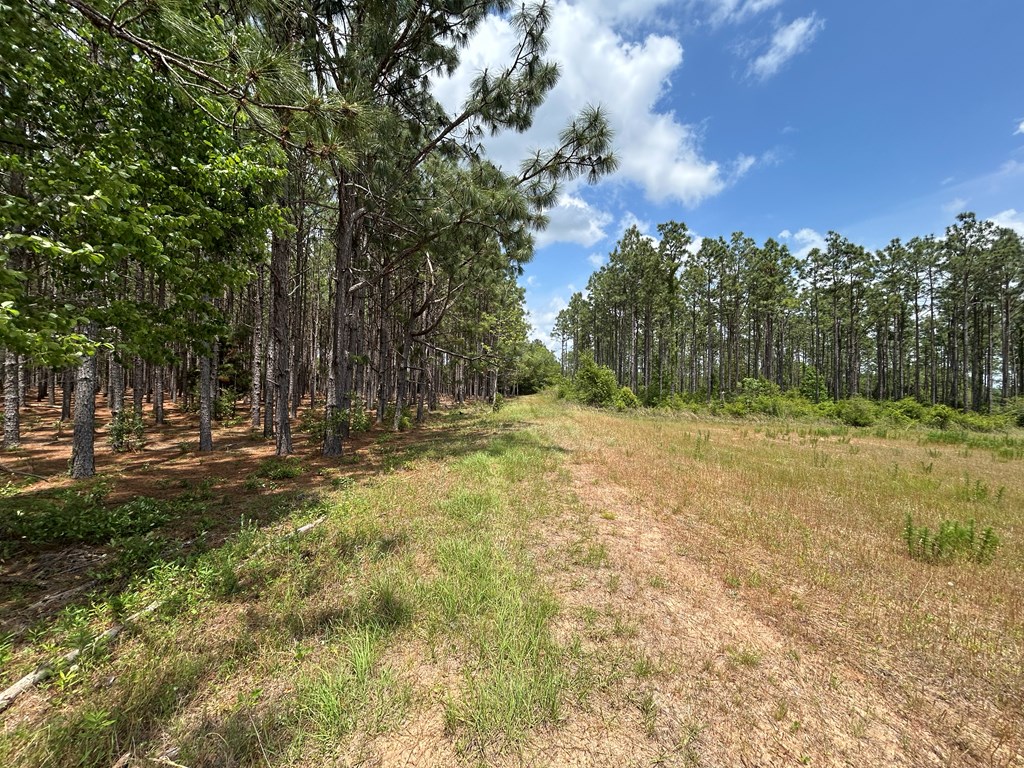10907-44 -ac) Cty Road Hartford, AL 36344 - Photo 50 of 52