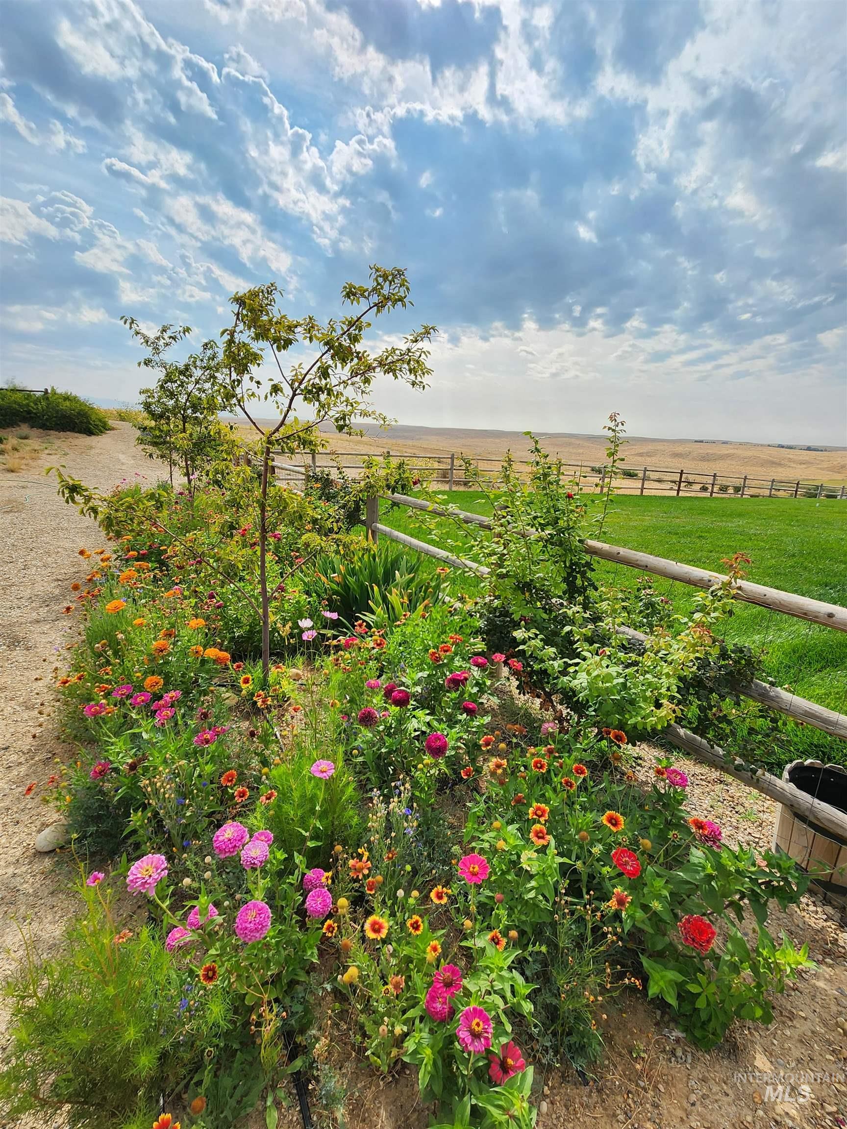 5800 Partridge Peak Avenue Caldwell, ID 83607 - Photo 49 of 50 View of yard featuring a view of countryside