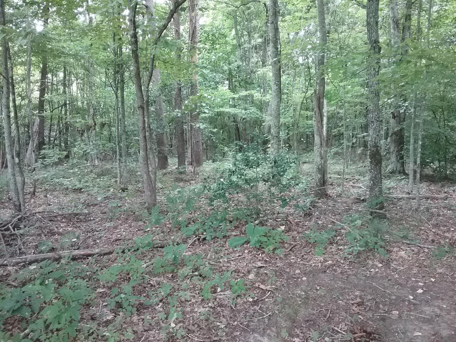 9999 Galimore Road Pine Knot, KY 42635 - Photo 10 of 35 Photo 10