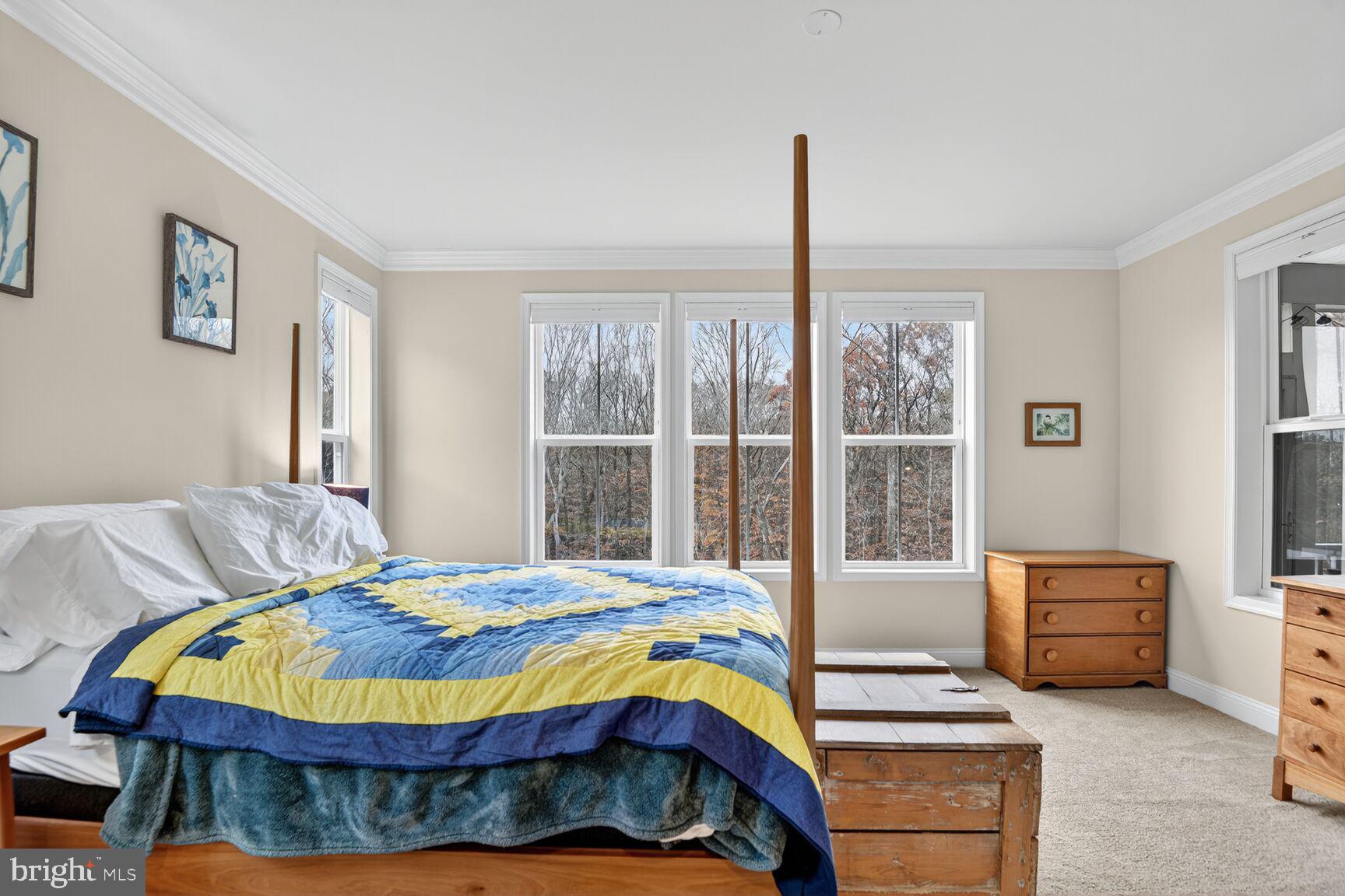 2727 Dragon Fly Way Odenton, MD 21113 - Photo 32 of 68 Owner's suite