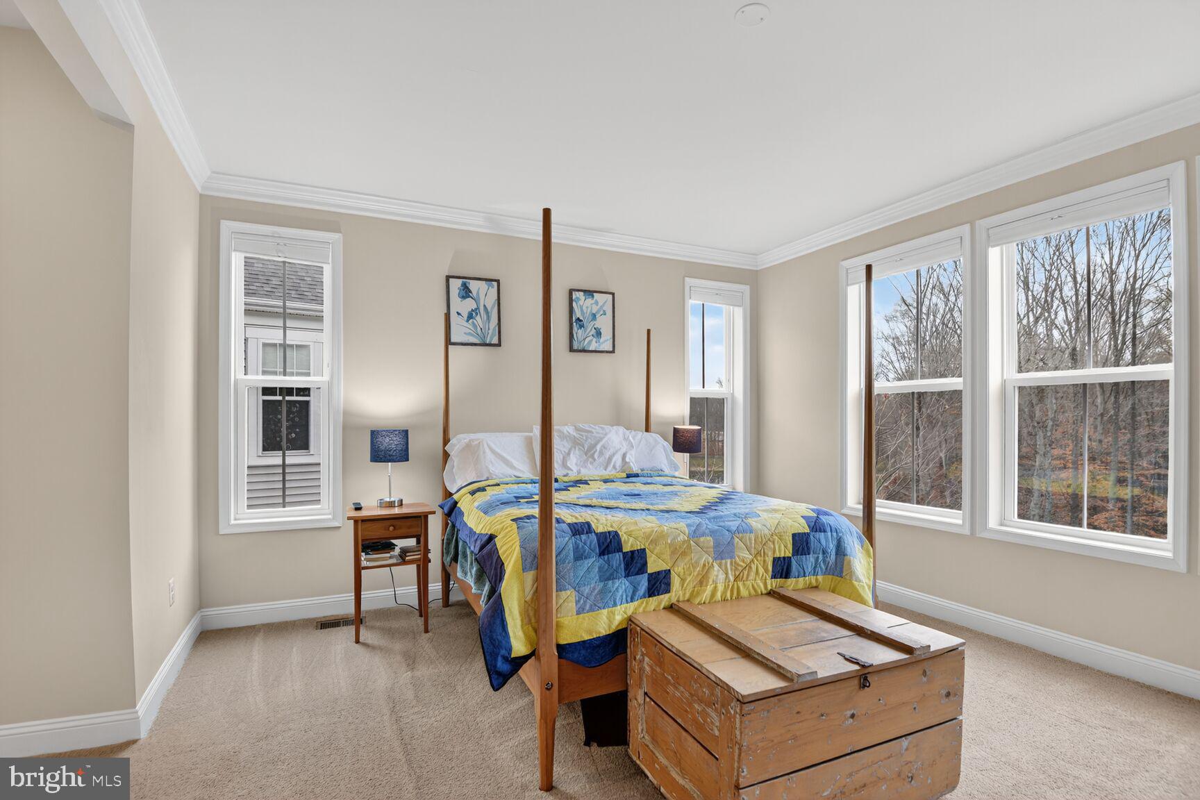 2727 Dragon Fly Way Odenton, MD 21113 - Photo 33 of 68 Owner's bedroom