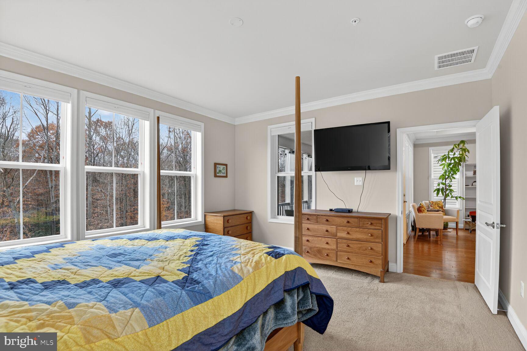 2727 Dragon Fly Way Odenton, MD 21113 - Photo 34 of 68 Owner's bedroom - wooded view