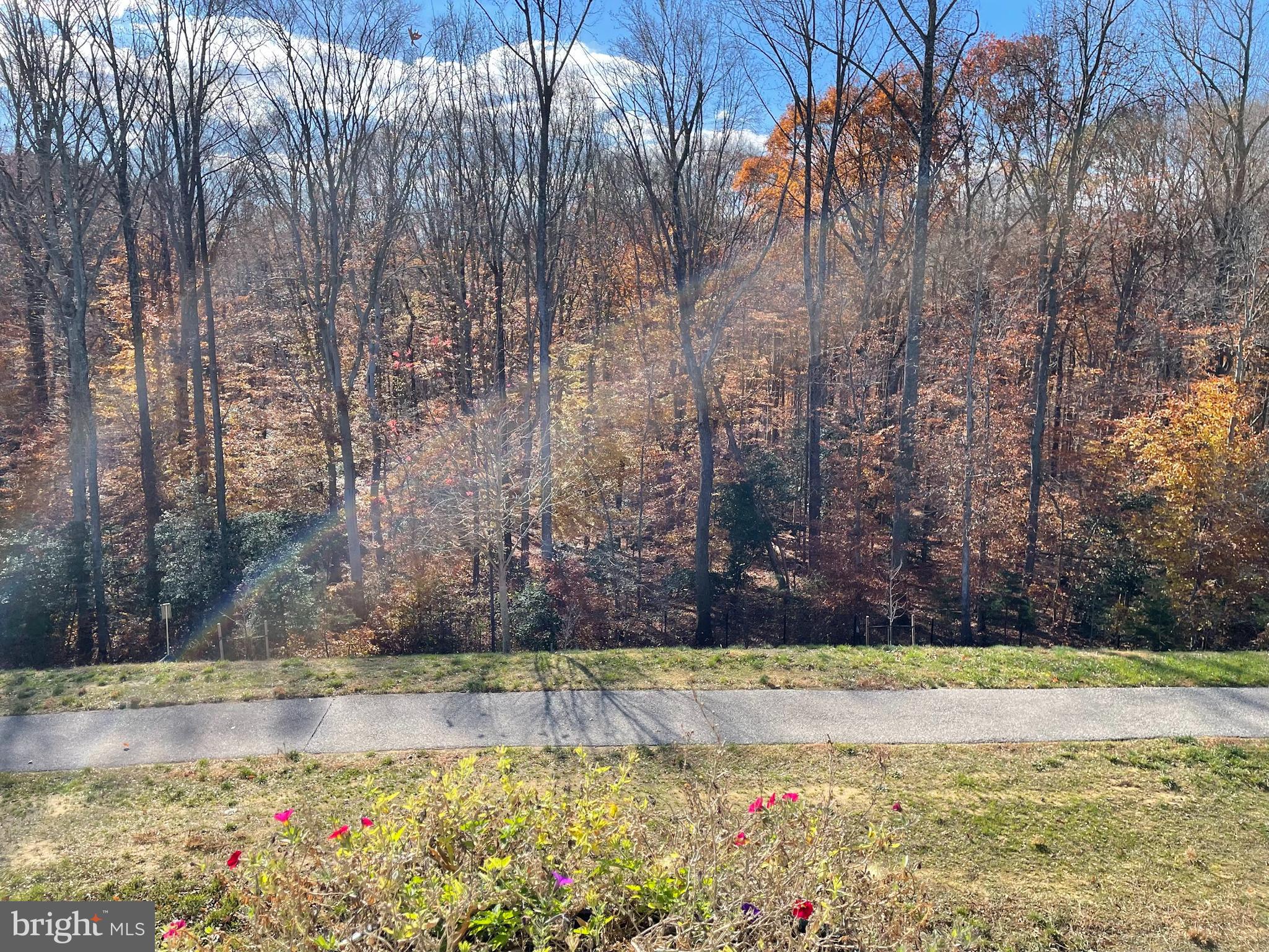 2727 Dragon Fly Way Odenton, MD 21113 - Photo 5 of 68 View from Screen Porch