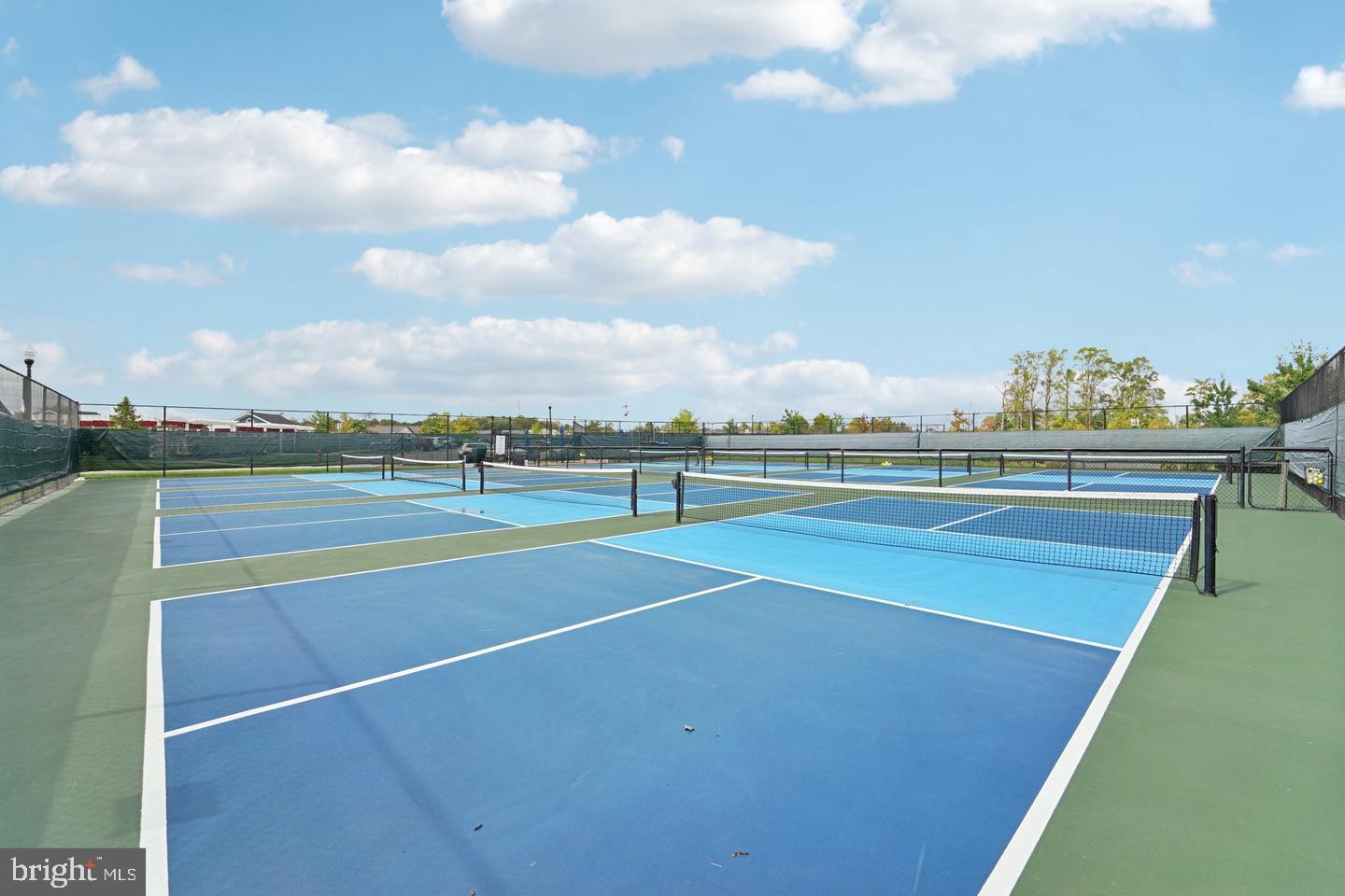 2727 Dragon Fly Way Odenton, MD 21113 - Photo 56 of 68 Pickleball Courts