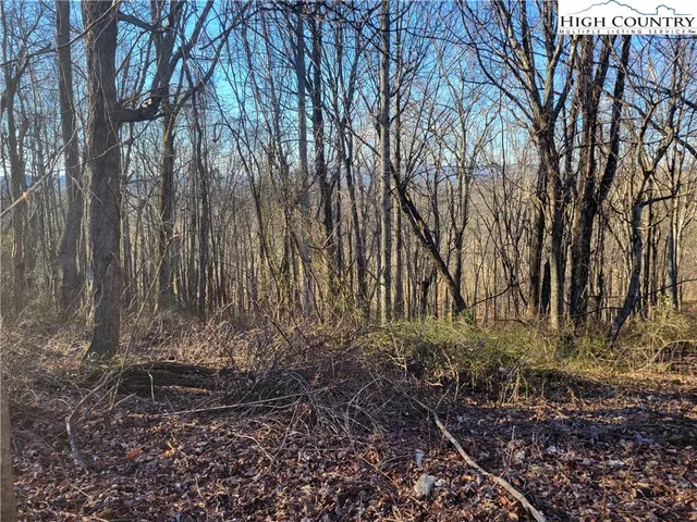 $59,900 | Lot 19 Terra Vista Drive, Laurel Springs, NC 28644