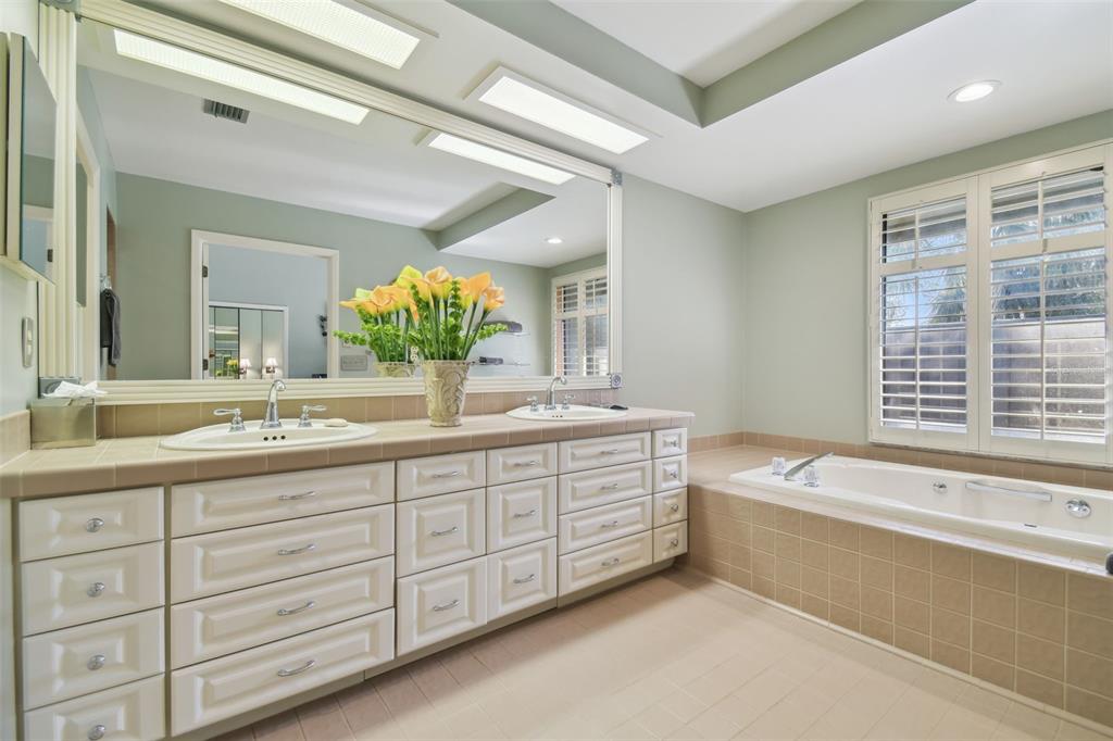 5434 Kemkerry Road Wesley Chapel, FL 33543 - Photo 23 of 56 a bathroom with a tub sink and mirror